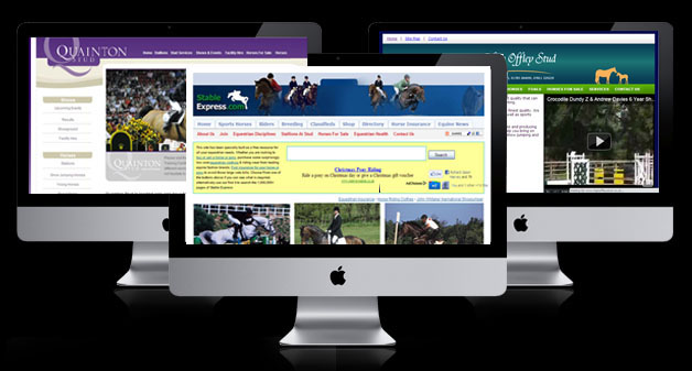 Equestrian Marketing