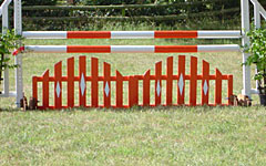 Show Jumps For Sale